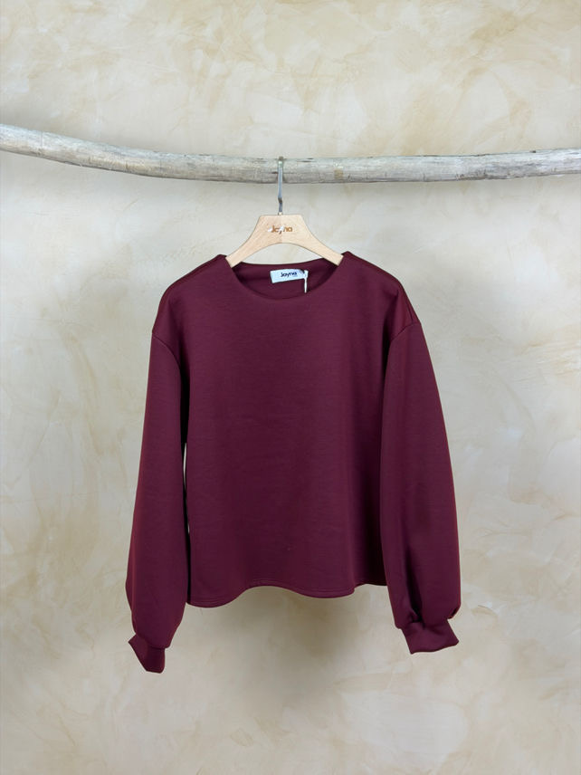 [P08395-bdx] Pull ultra doux longues manches - JoyLM - bordeaux
